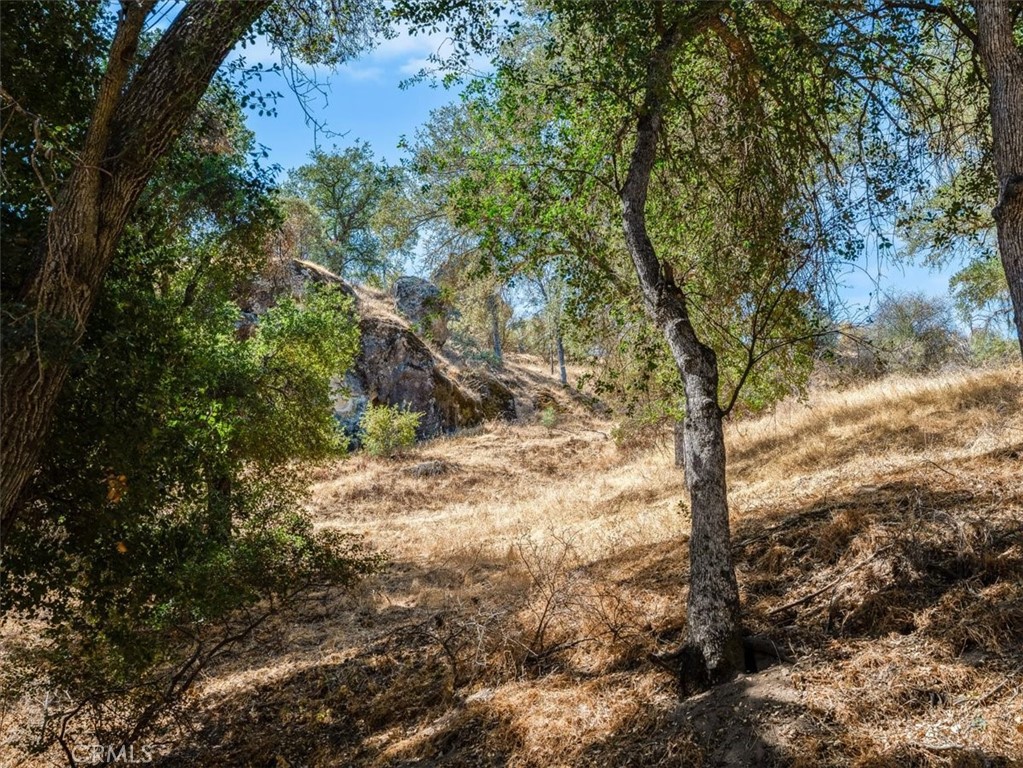 1575 Parkhill Road Property Photo 41