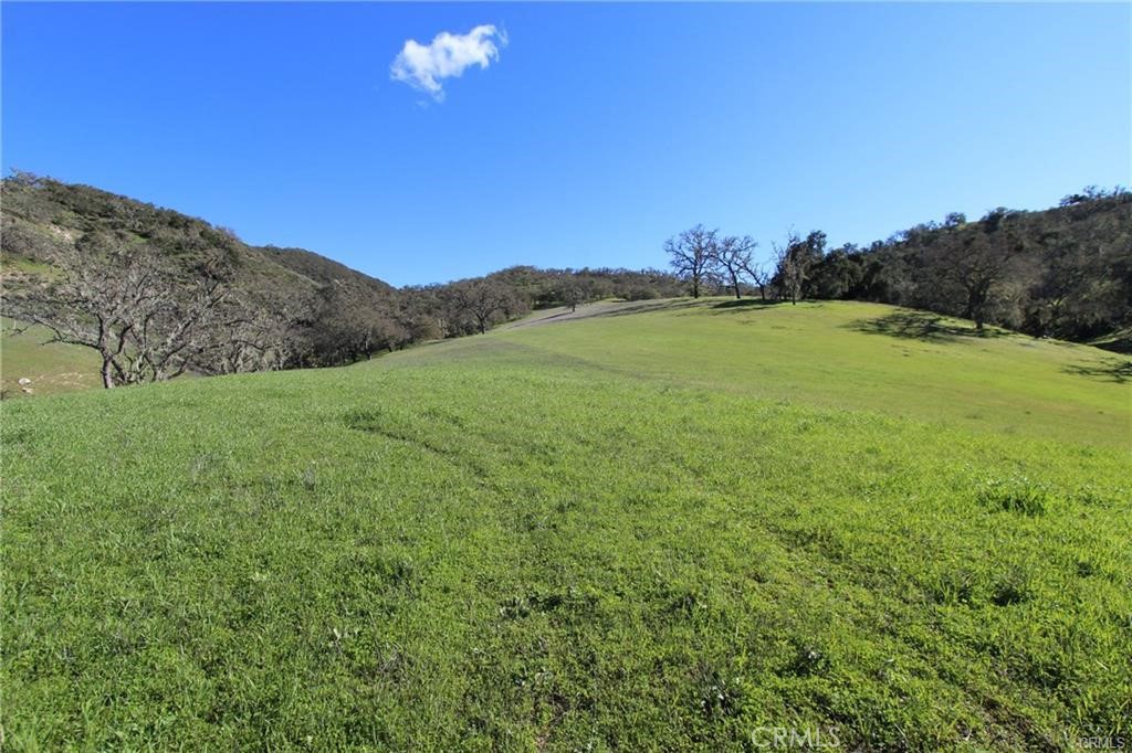9930 Sunfish Circle Property Photo 10