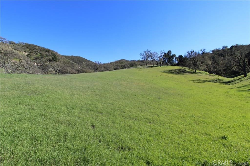9930 Sunfish Circle Property Photo 11
