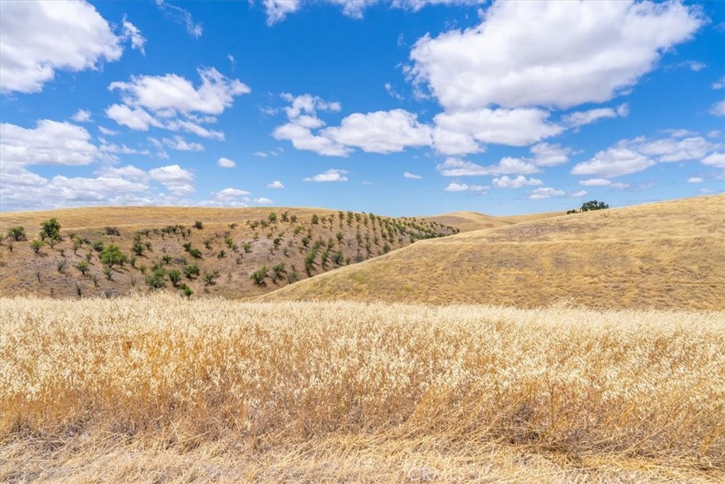 76846 Ranchita Canyon Road Property Photo 36