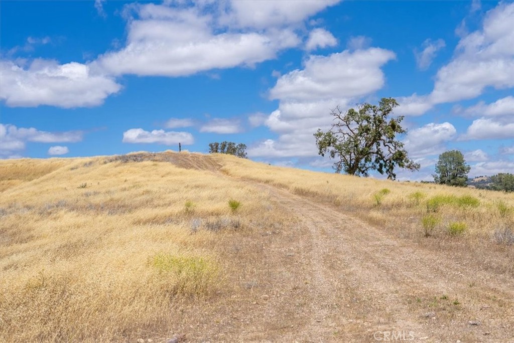 76846 Ranchita Canyon Road Property Photo 46