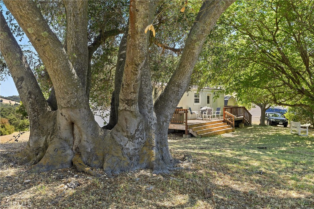 3180 Willow Creek Road Property Photo 44