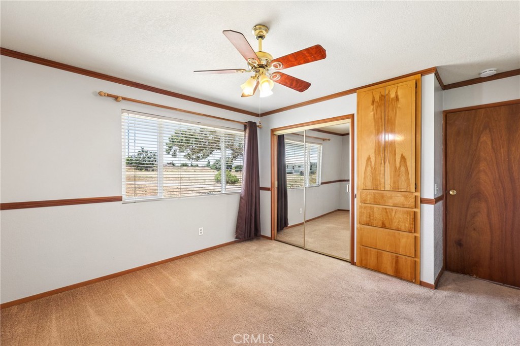 335 Phillips Property Photo 19
