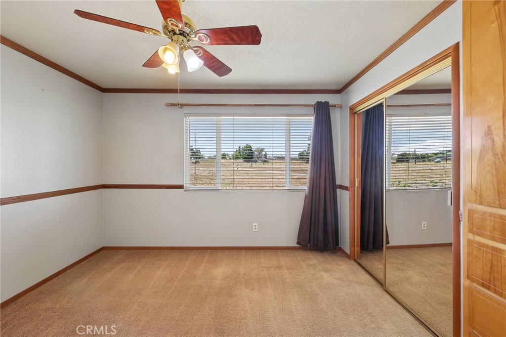 335 Phillips Property Photo 20