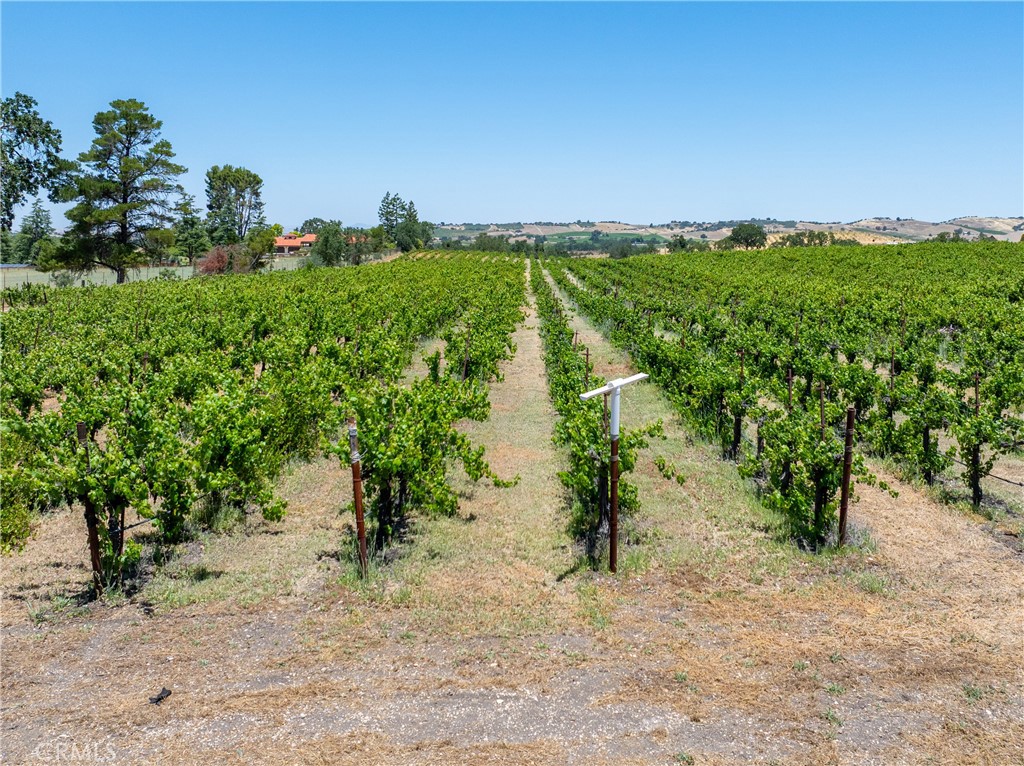 175 White Hawk Property Photo 15
