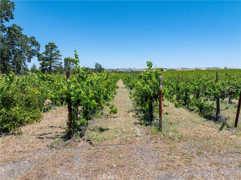 175 White Hawk Property Photo 16