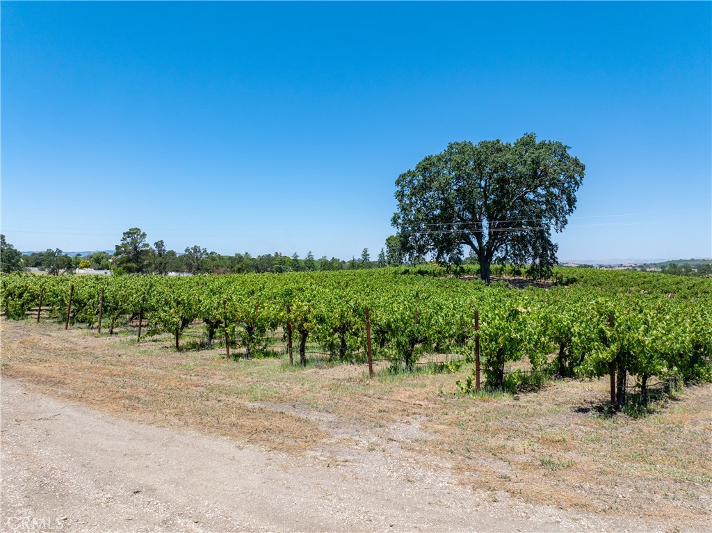 175 White Hawk Property Photo 18