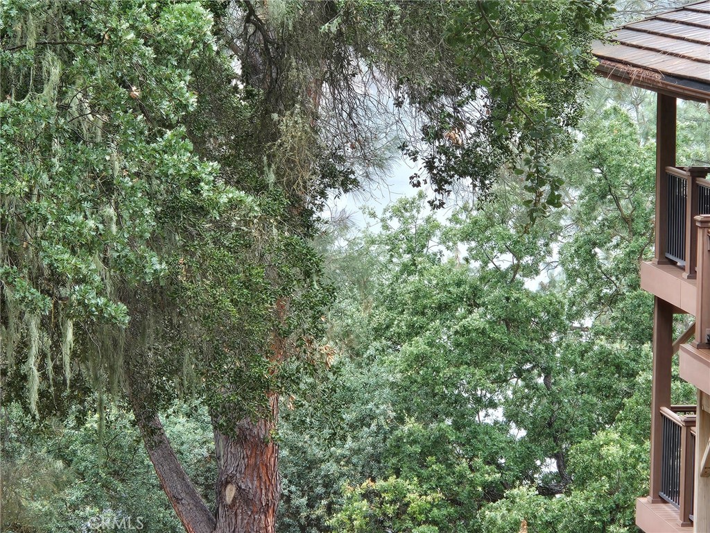 2872 Saddle Way Property Photo 7