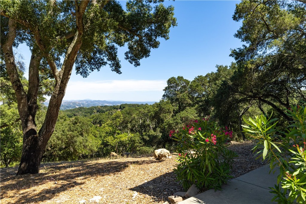 2570 Alturas Property Photo 7