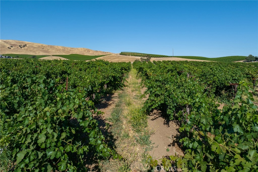 8585 Cross Canyons Property Photo 33
