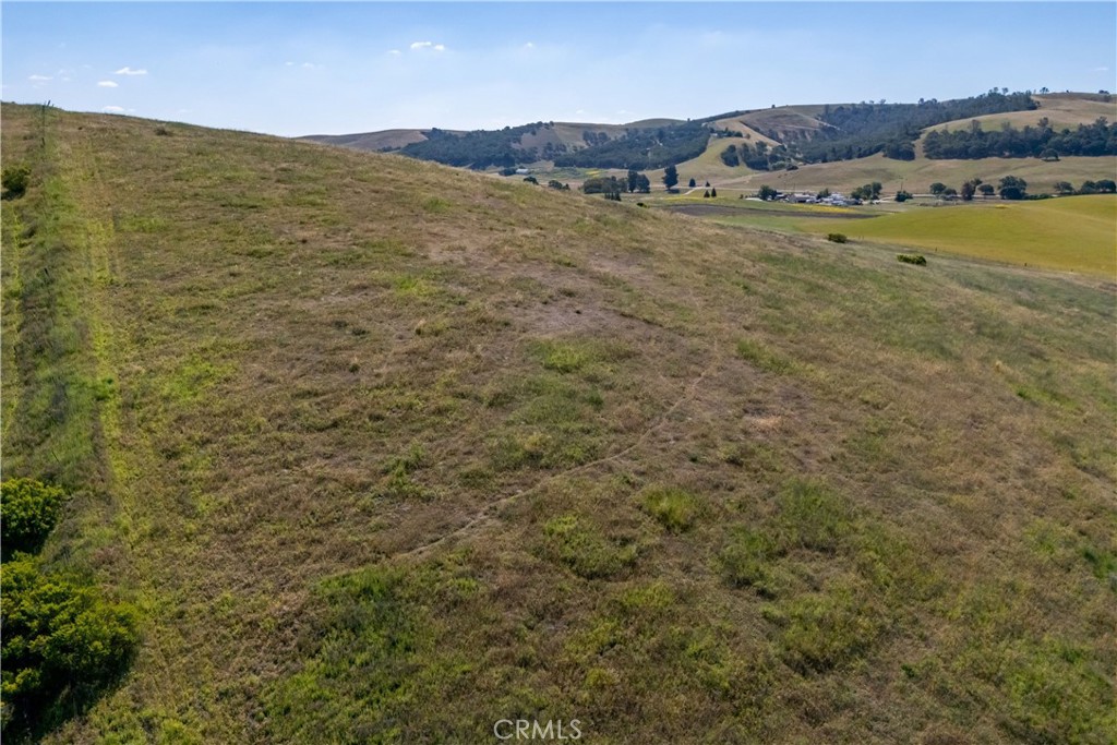 2771 Poco Road Property Photo 8