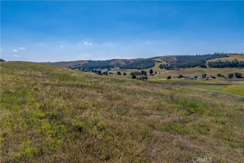 2771 Poco Road Property Photo 9