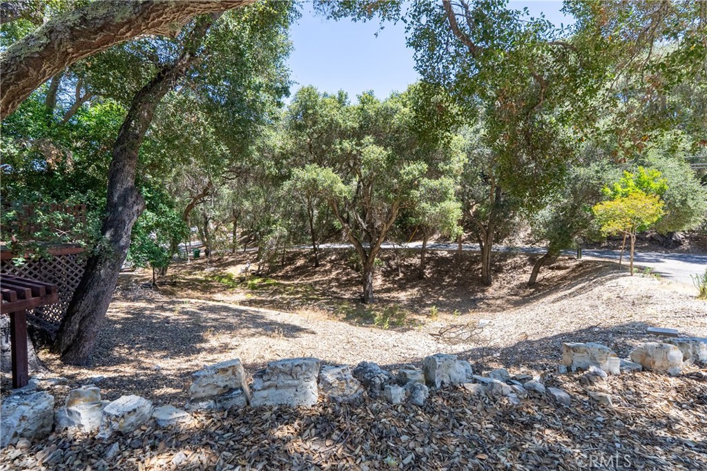 7950 San Clemente Property Photo 25