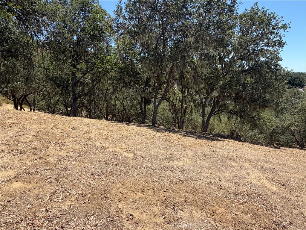 2174 Ridge Rider Property Photo 1