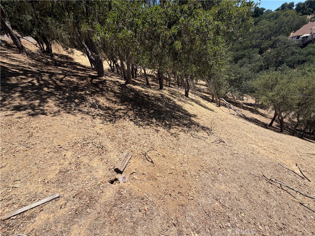 2174 Ridge Rider Property Photo 3