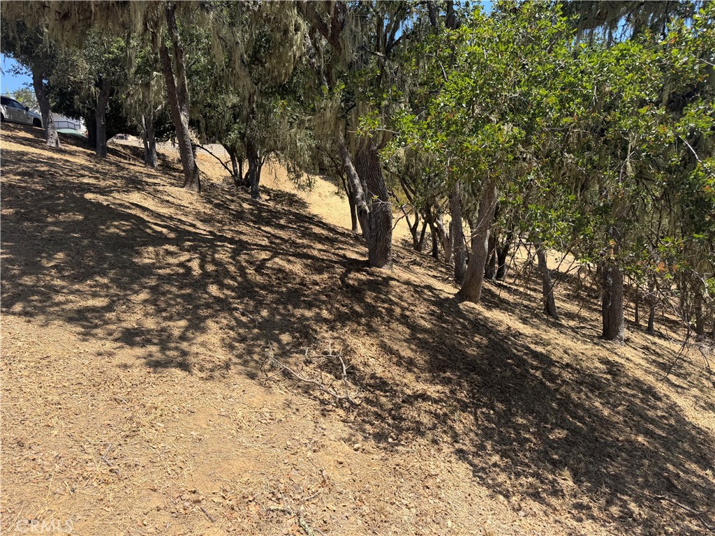 2174 Ridge Rider Property Photo 4