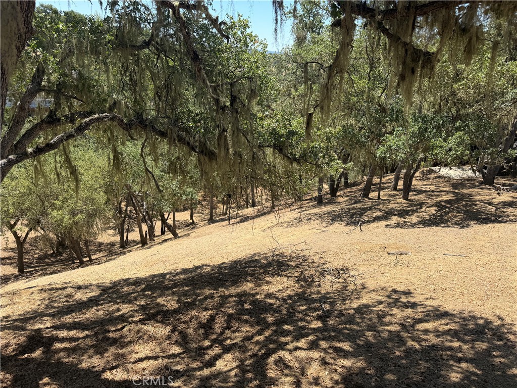 2174 Ridge Rider Property Photo 5