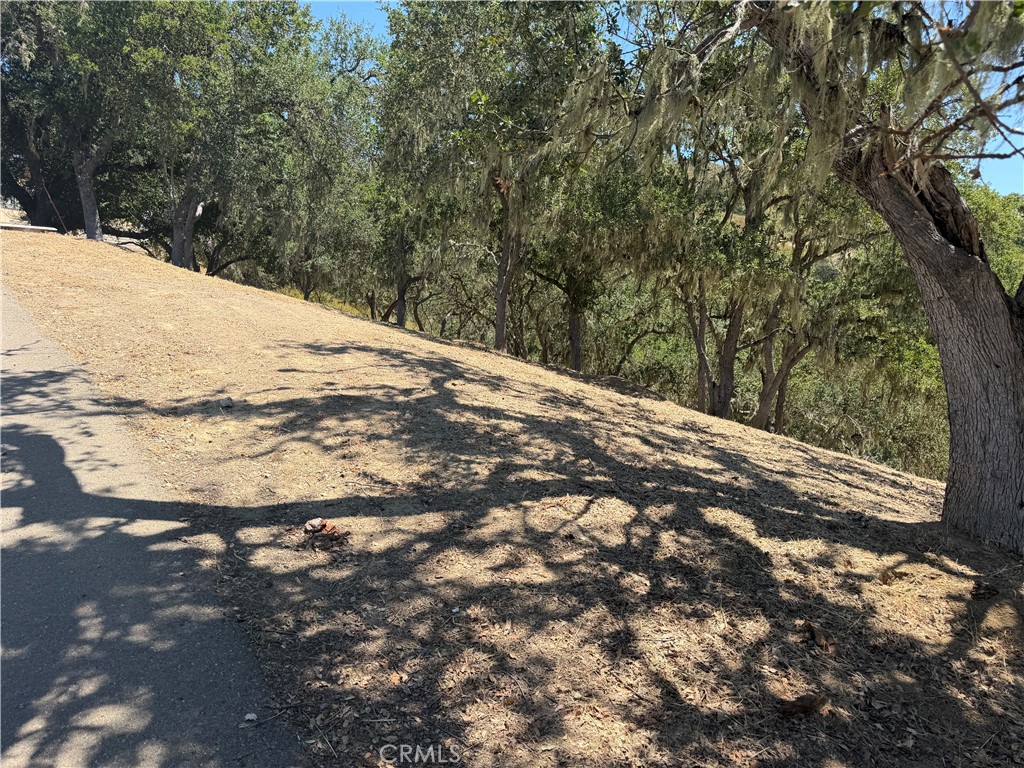 2174 Ridge Rider Property Photo 6