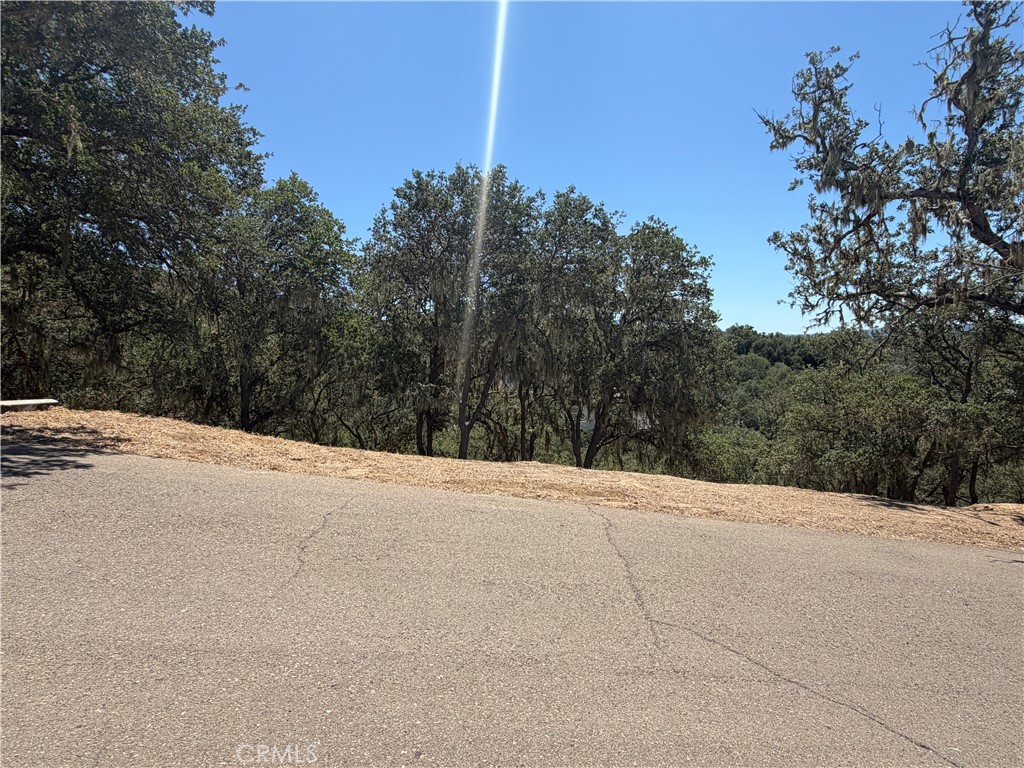 2174 Ridge Rider Property Photo 7