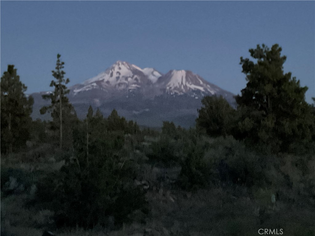 13730 Feldman Property Photo 25