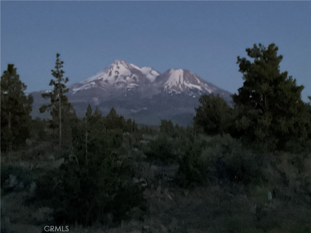 13730 Feldman Property Photo 25