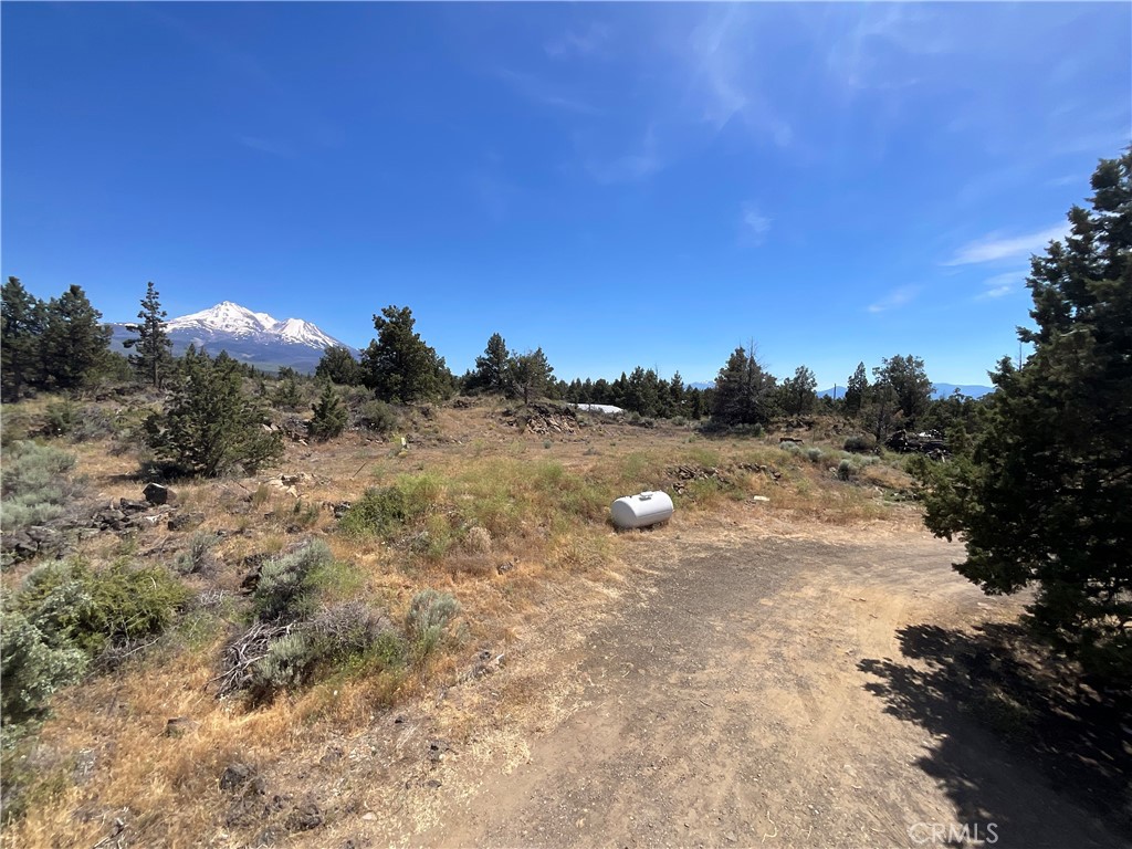 13730 Feldman Property Photo 27