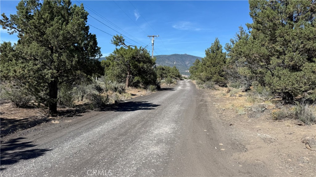 13730 Feldman Property Photo 28