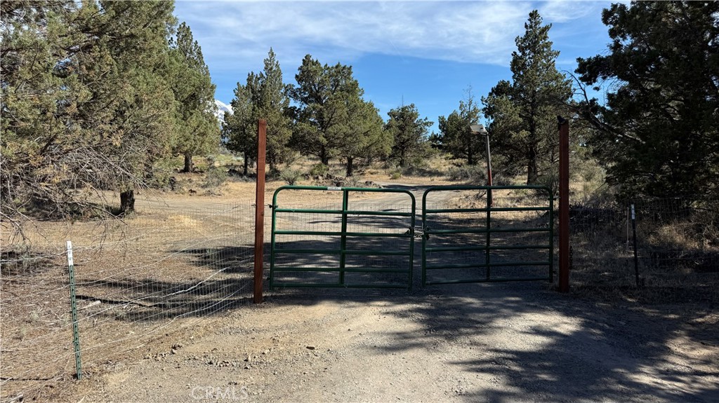 13730 Feldman Property Photo 30