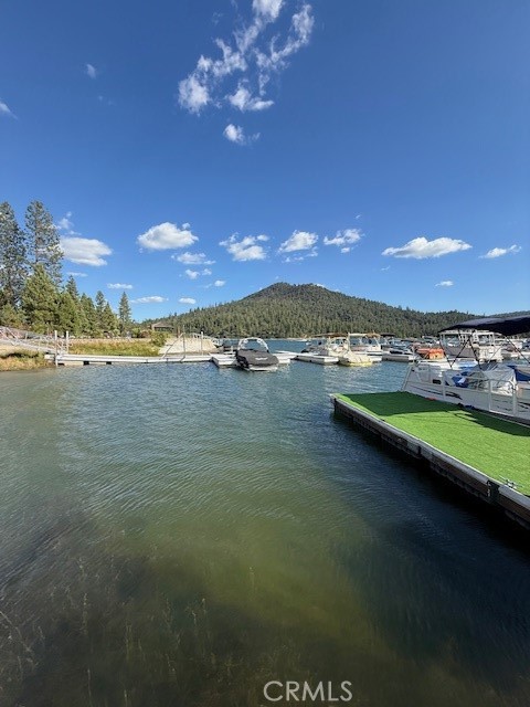 39671 E Idylwild Property Photo 19