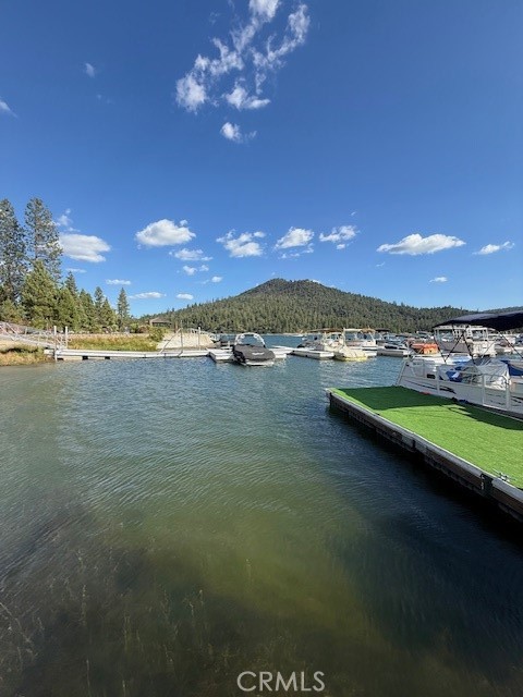 39671 E Idylwild Property Photo 19