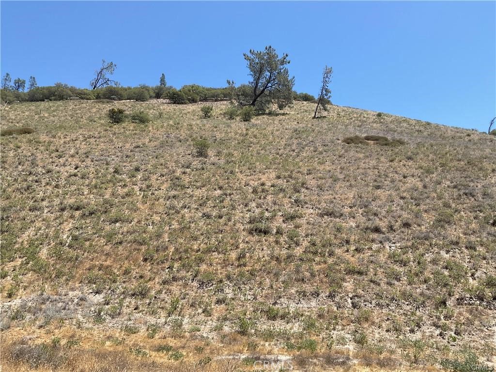 0 Martinez Property Photo 11
