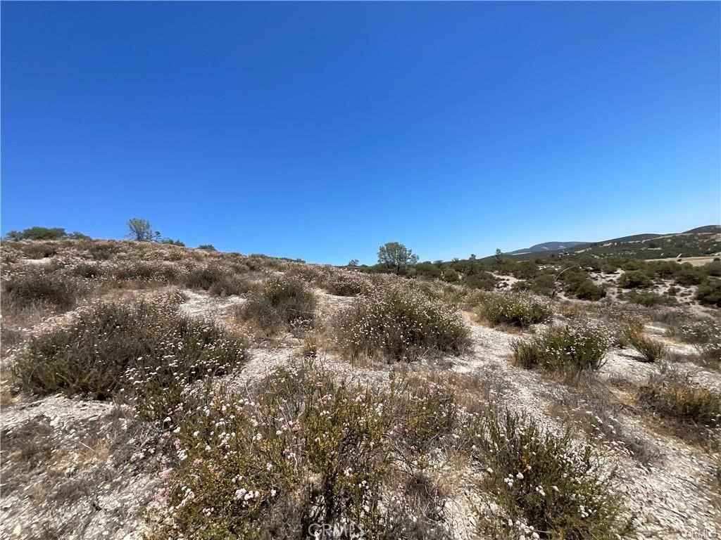 0 Martinez Property Photo 23