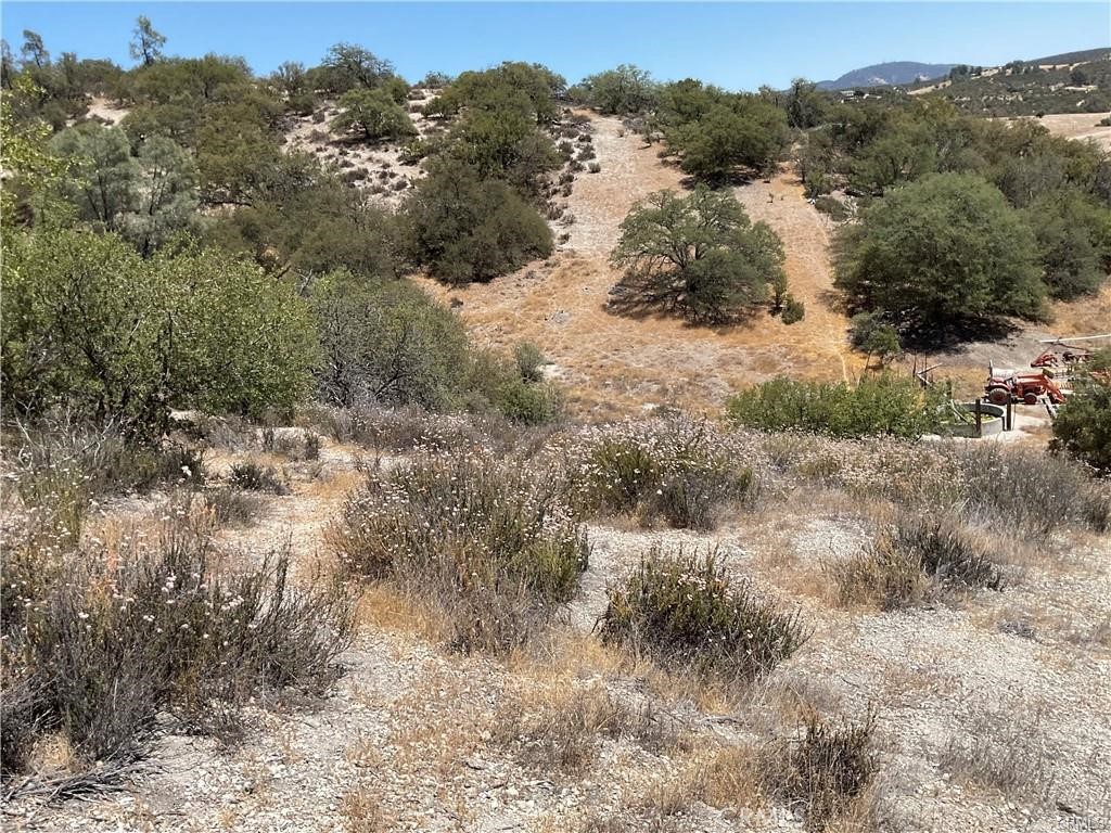 0 Martinez Property Photo 25