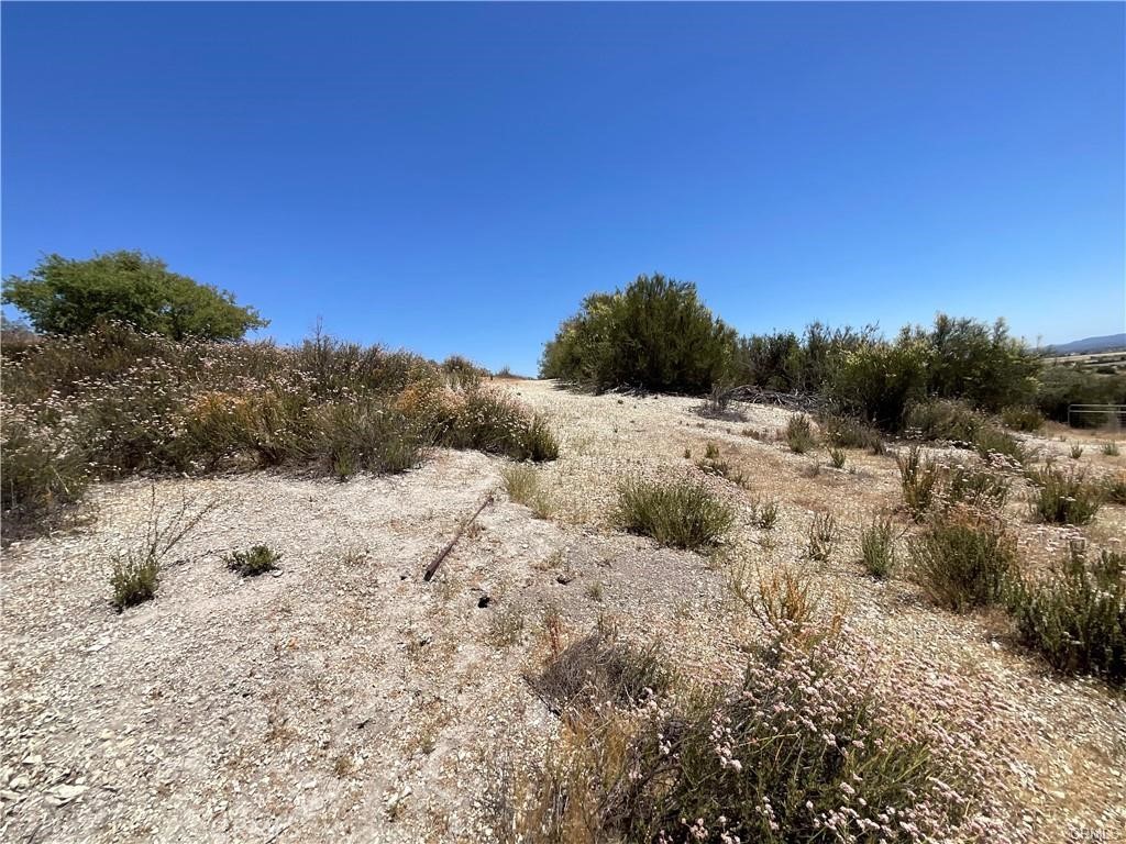 0 Martinez Property Photo 31