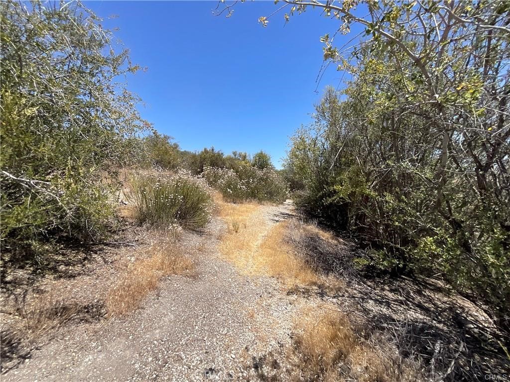0 Martinez Property Photo 34