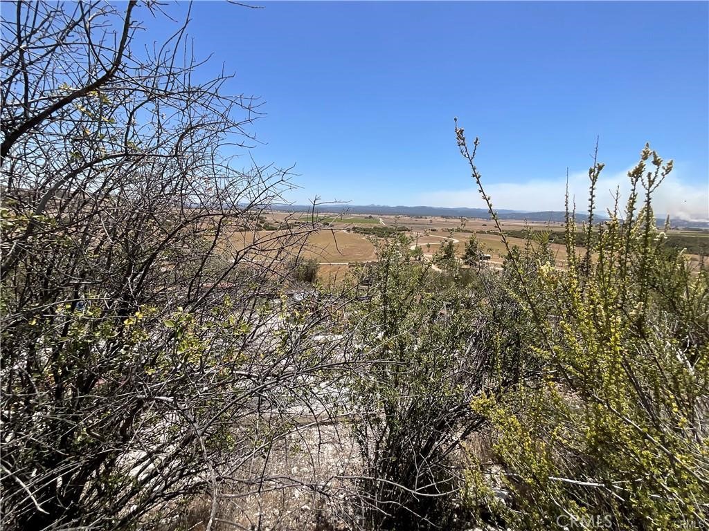 0 Martinez Property Photo 35