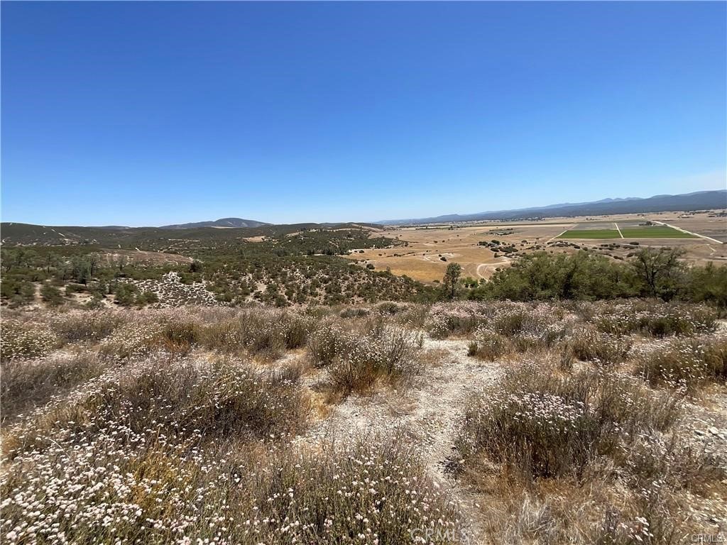 0 Martinez Property Photo 37
