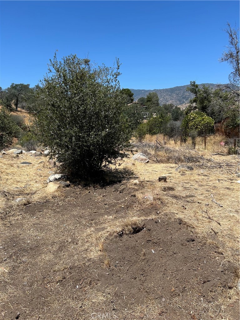 248 Bodfish Canyon Property Photo 4