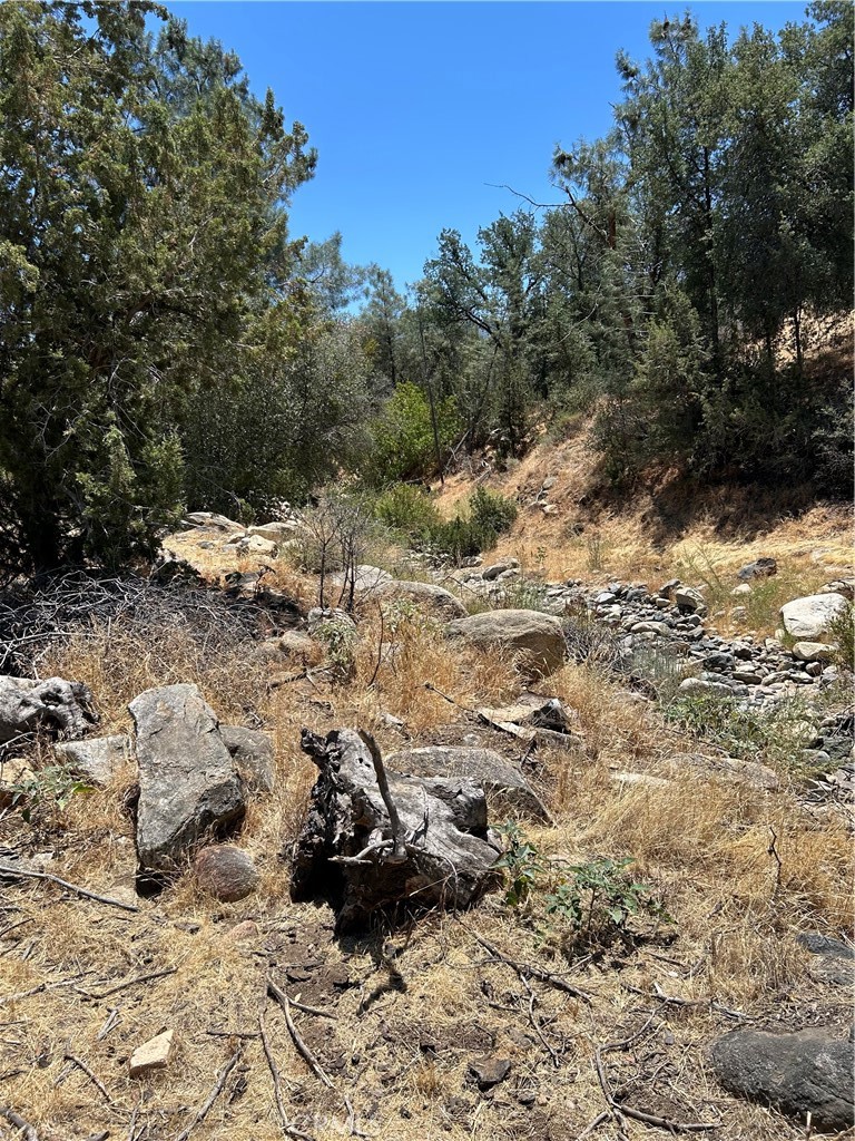 248 Bodfish Canyon Property Photo 5