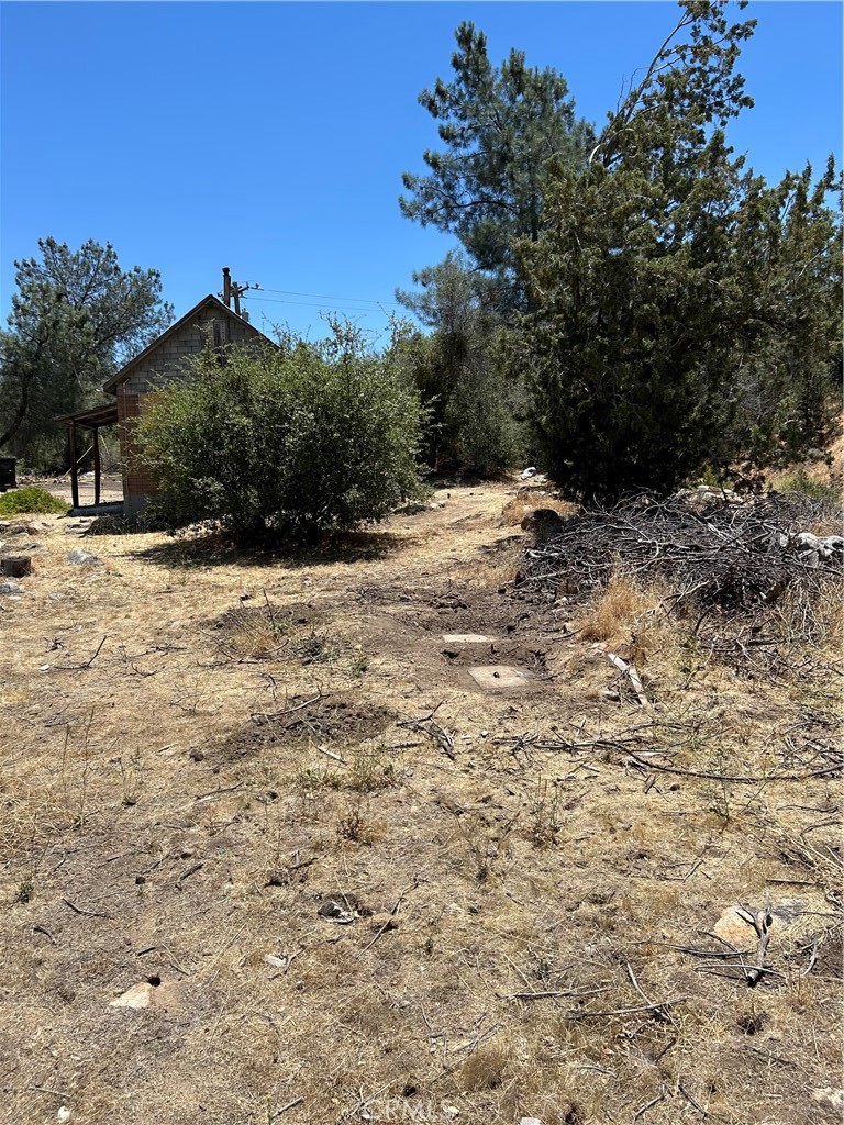 248 Bodfish Canyon Property Photo 6