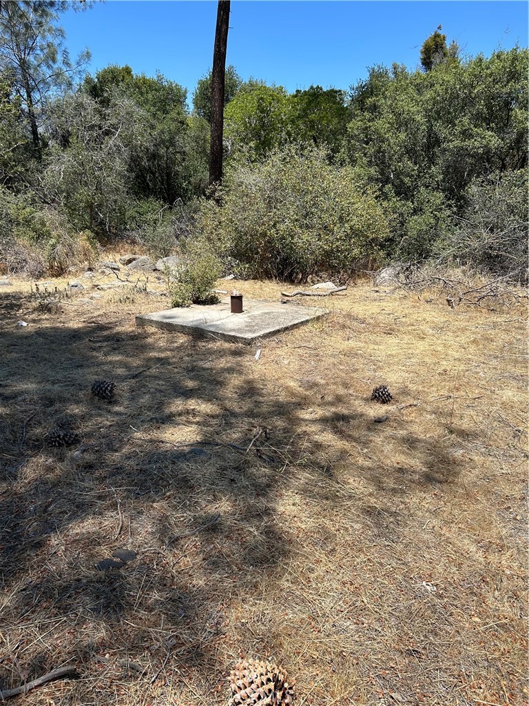 248 Bodfish Canyon Property Photo 14