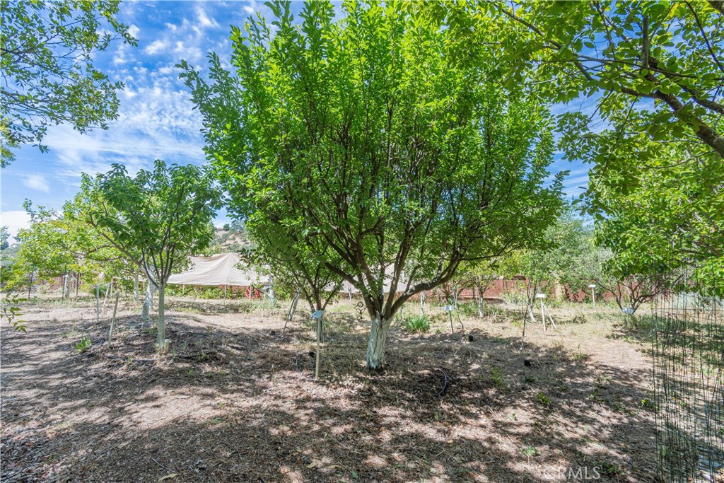 603 Nicklaus Property Photo 16