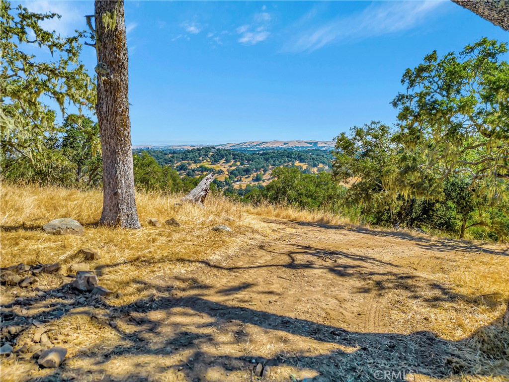 6452 Alta Pradera Property Photo 1