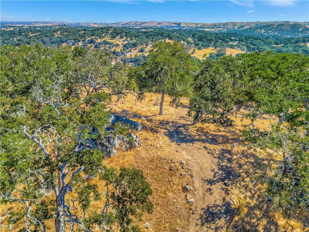 6452 Alta Pradera Property Photo 5