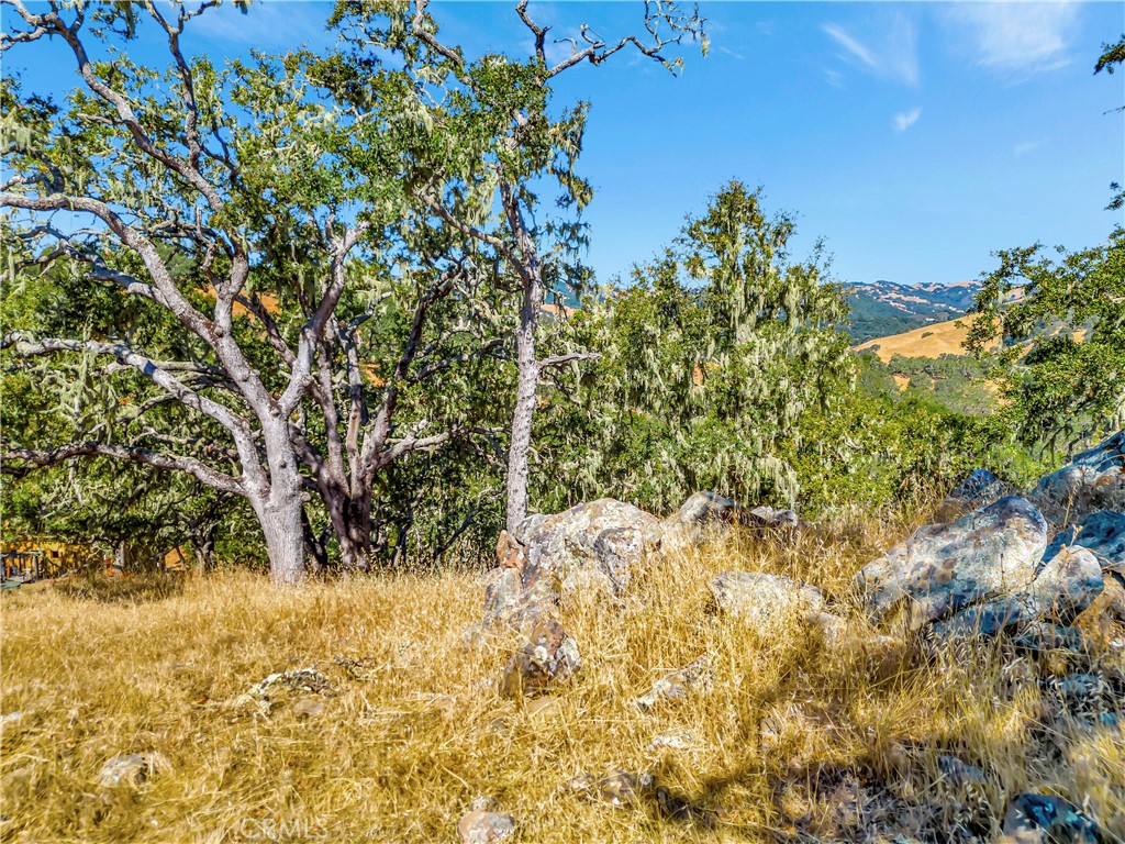 6452 Alta Pradera Property Photo 7