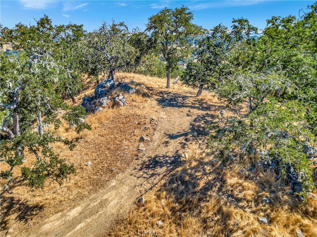 6452 Alta Pradera Property Photo 9