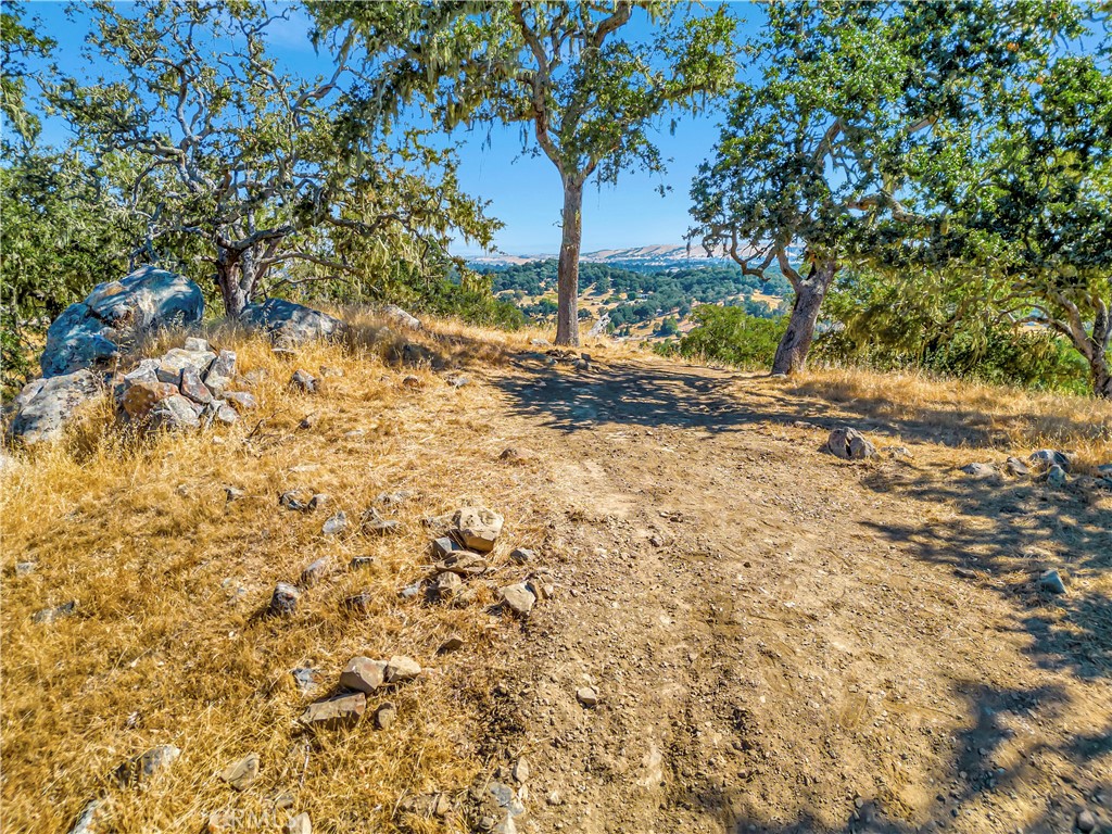 6452 Alta Pradera Property Photo 10