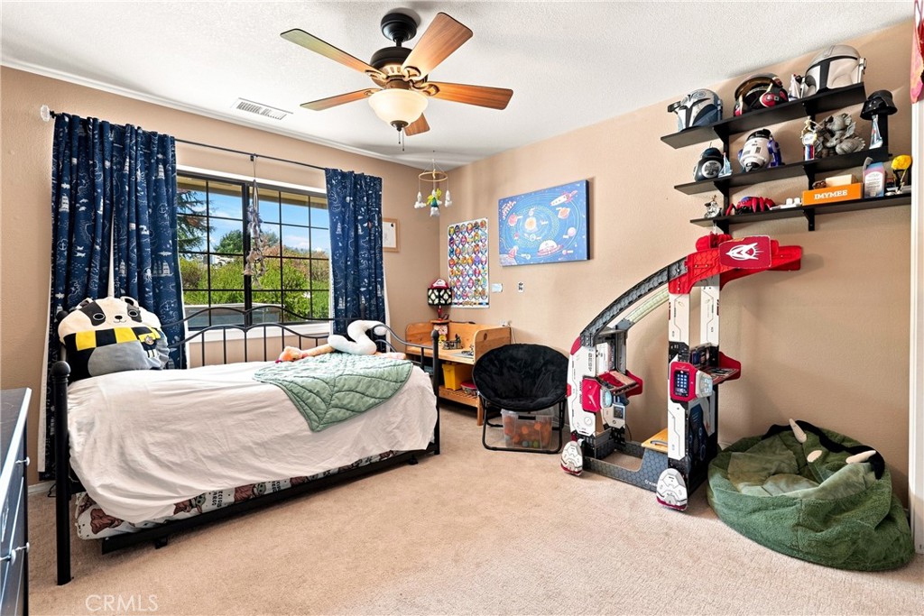 1380 Shane Property Photo 44