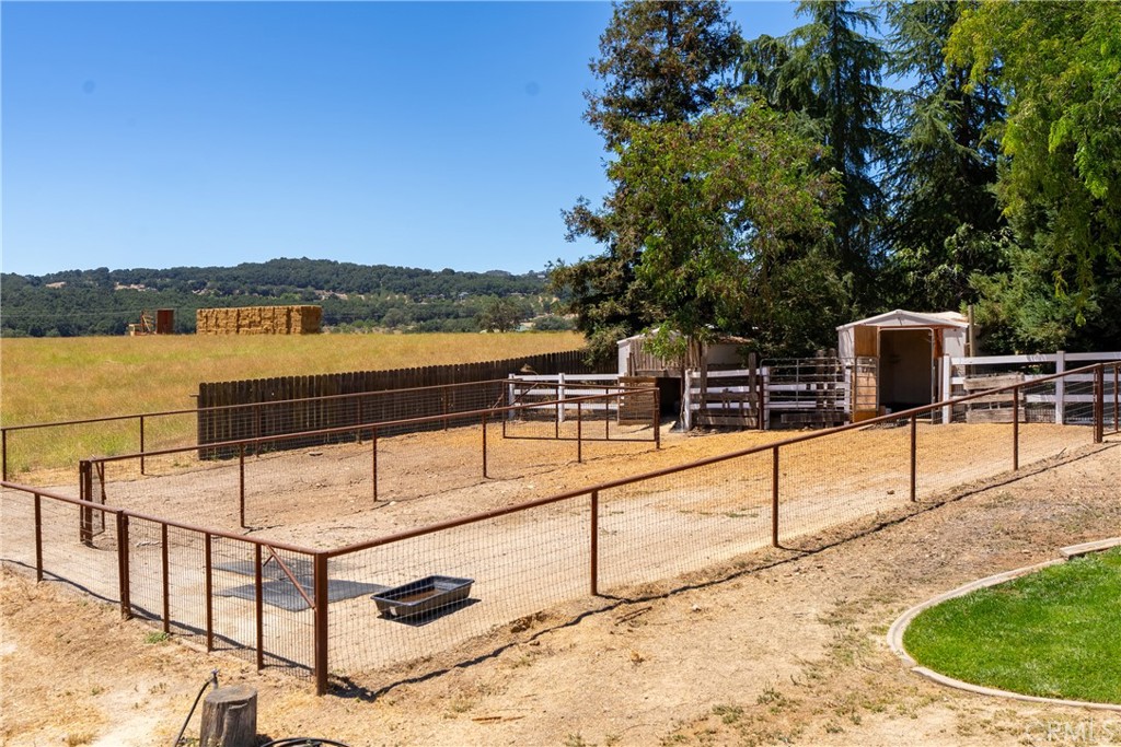 1380 Shane Property Photo 61
