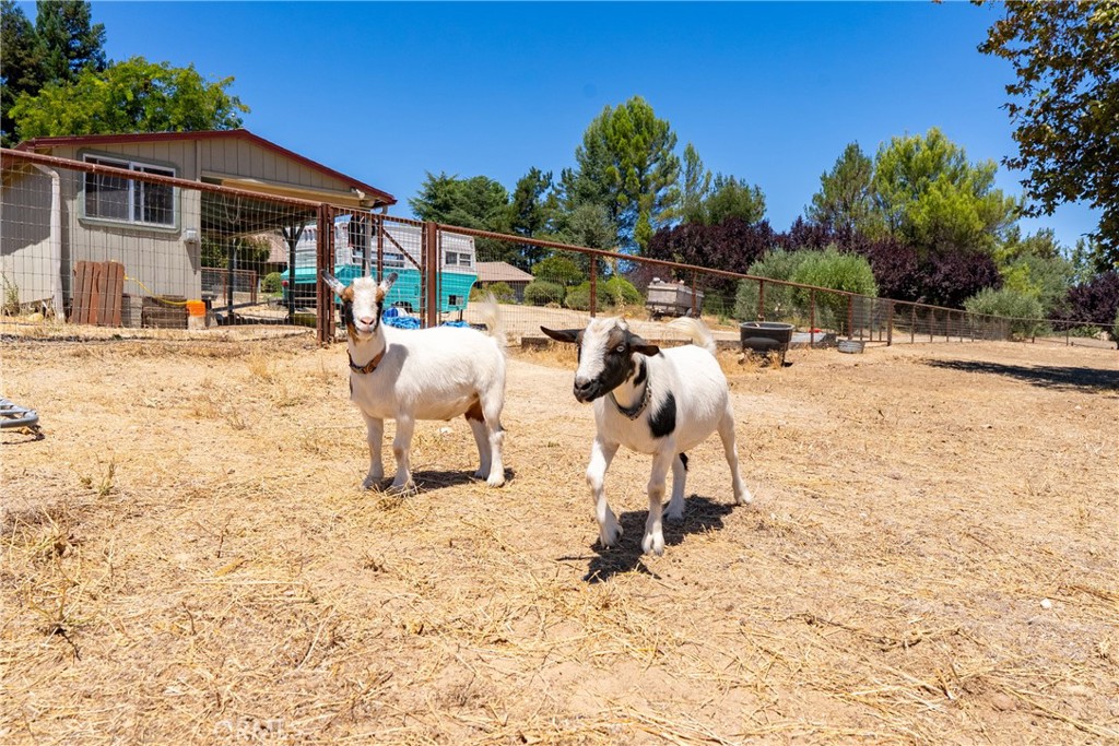 1380 Shane Property Photo 65